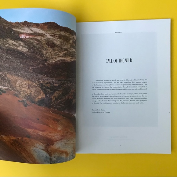 Hermès No.69 Autumn-Winter 2016 Magazine - Picture 5 of 11